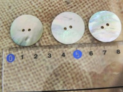 画像3: 真珠の母貝 パールシェル アコヤ貝  貝ボタン 25mm 20個