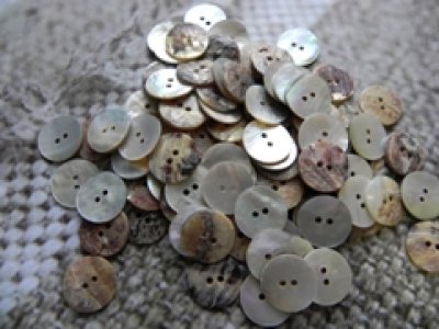 画像2: 真珠の母貝 パールシェル アコヤ貝  貝ボタン 18mm 100個