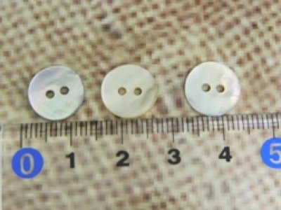 画像3: 真珠の母貝 パールシェル アコヤ貝  貝ボタン 11.5mm 100個