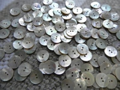 画像1: 真珠の母貝 パールシェル アコヤ貝  貝ボタン 18mm 100個