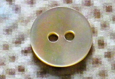 画像1: 高瀬貝ボタン かわいいベージュ色　SH-1104  11.5mm