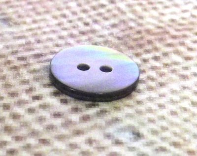 画像2: 茶蝶貝  貝ボタン  まっ平ら型 SH1120 2穴