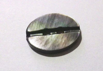 画像1: 黒蝶貝 貝ボタン   楕円型　約15mm  B-1511
