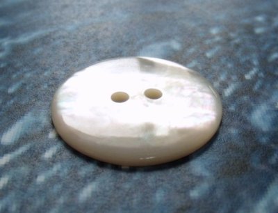 画像1: 白蝶貝  貝ボタン  定番のボウズ型 2穴 SH-1150