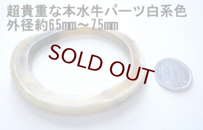 画像4: 貴重な本水牛ボタンいっぱい　コレクションにも