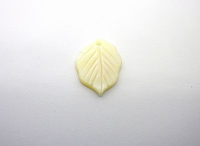 画像1: 貝パーツ　木の葉型　高瀬貝　約21mm SH2122