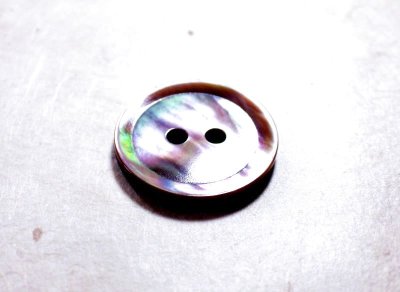 画像7: 茶蝶貝 貝ボタン シャープな2穴　スーツ1着分　 SPH-1172
