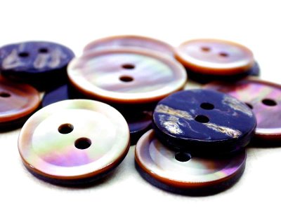 画像4: 茶蝶貝 貝ボタン  シャープな型の2穴 SPH1172