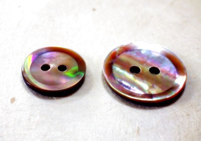 画像6: 茶蝶貝 貝ボタン  シャープな型の2穴 SPH1172