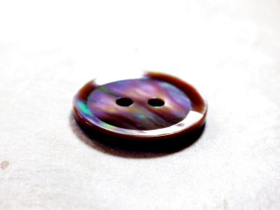 画像3: 茶蝶貝 貝ボタン  シャープな型の2穴 SPH1172