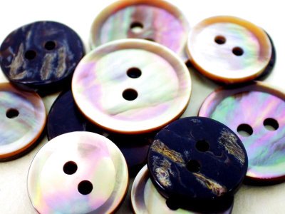 画像4: 茶蝶貝 貝ボタン シャープな2穴　スーツ1着分　 SPH-1172