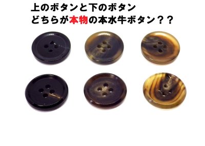 画像2: 偽物と本物の本水牛ボタンが見分けられるサンプル虎の巻