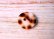 画像1: 宝貝  貝ボタン  珍しいヒョウ柄の貝ボタン 2H  SH-2168 (1)