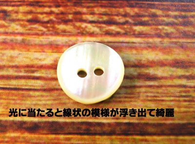 画像3: 玉貝  貝ボタン  輝く線状紋が綺麗な貝ボタン　裏面も使用できます　SH-2214