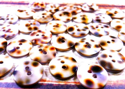 画像3: 宝貝 珍しいヒョウ柄の貝ボタン お得なセット　各サイズ有　2H SH-2168