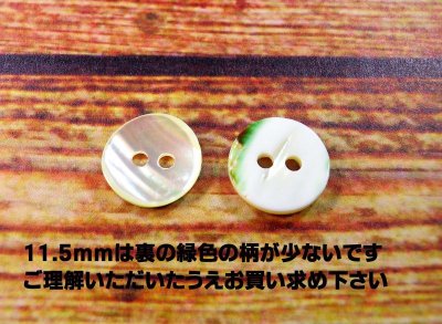 画像6: 玉貝  貝ボタン  輝く線状紋が綺麗な貝ボタン　裏面も使用できます　SH-2214