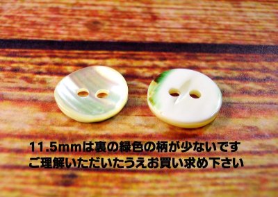 画像7: 玉貝  貝ボタン  輝く線状紋が綺麗な貝ボタン　裏面も使用できます　SH-2214