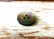 画像4: 黒蝶貝  貝ボタン  珍しい3穴の貝ボタン  SH-103