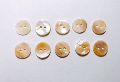 画像4: マッセル貝　貴重で珍しい貝ボタン　MS-220 貴重なベージュ系　2穴