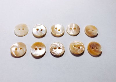 画像5: マッセル貝　貴重で珍しい貝ボタン　MS-220 貴重なベージュ系　2穴