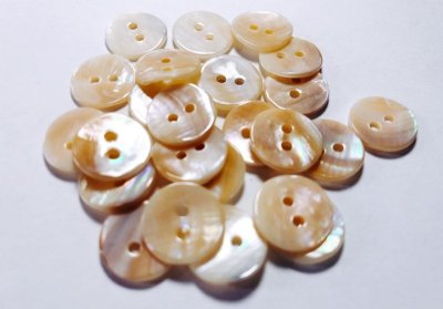 画像7: マッセル貝　貴重で珍しい貝ボタン　MS-220 貴重なベージュ系　2穴