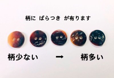 画像6: 珍しいシックな輝きの茶色の貝ボタン　BMS-101BR