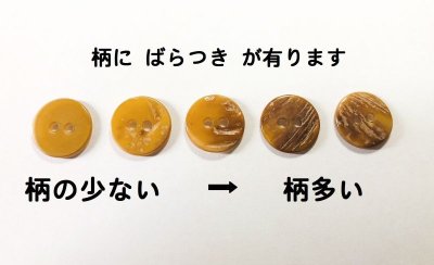 画像6: 珍しいシックな輝き　透明感あるべっ甲色の貝ボタン　BMS-102BE