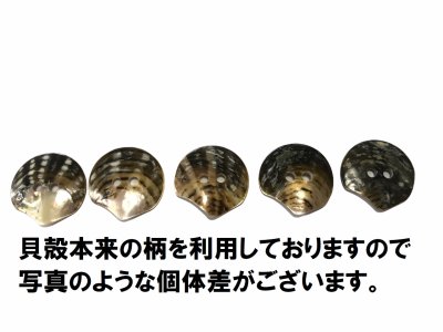 画像10: 黒蝶貝  貝ボタン  貝殻そのまんま貝ボタン　2ッ穴　大中小 SH-2226