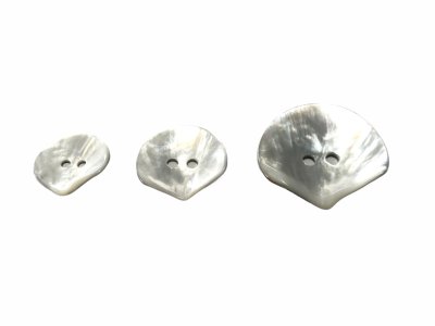 画像9: 黒蝶貝  貝ボタン  貝殻そのまんま貝ボタン　2ッ穴　大中小 SH-2226