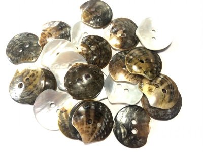 画像6: 黒蝶貝  貝ボタン  貝殻そのまんま貝ボタン　2ッ穴　大中小 SH-2226