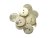 画像5: 高瀬貝 貝ボタン  全面にストライプの彫刻を施した こだわりの貝ボタン SH2583 (5)
