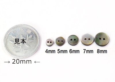 画像1: 小さい貝ボタン　黒蝶貝　まっ平ら型 SH1120  2穴 4mm〜  SH1120S