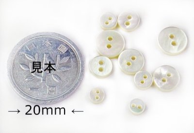 画像2: 小さい貝ボタン 白蝶貝 まっ平ら型 SH1120  2穴 4mm〜　SH-1120S