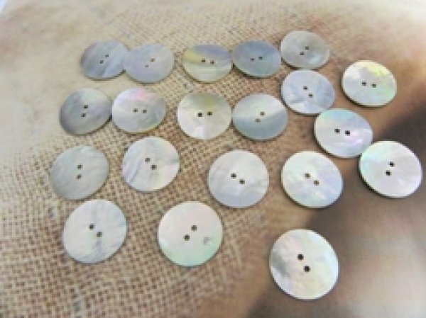 画像1: 真珠の母貝 パールシェル アコヤ貝  貝ボタン 25mm 20個 (1)