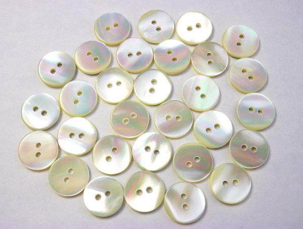 画像4: 高瀬貝 貝ボタン  まっ平ら型 SH1120　2穴 (4)