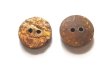 画像3: 木　ヤシ、ココナッツのボタン CO-150 (3)