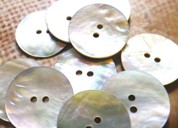 画像4: 真珠の母貝 パールシェル アコヤ貝 貝ボタン  SH-2165 (4)