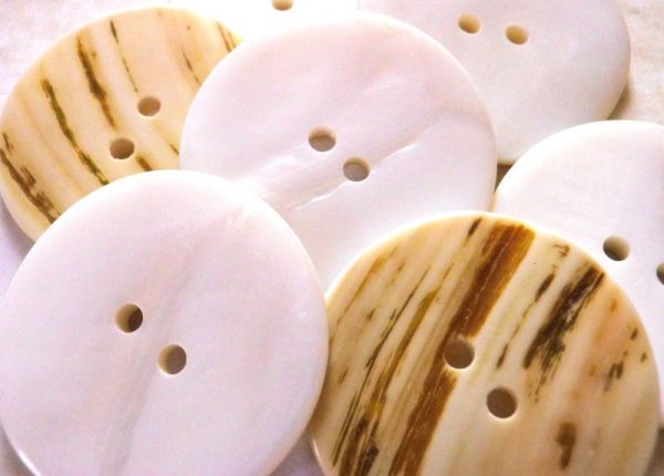 画像3: 珍しい柄のある 貝ボタン　BS-2 (3)