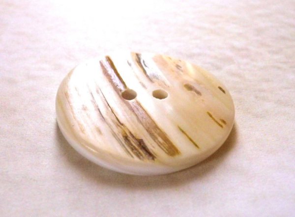 画像2: 珍しい柄のある 貝ボタン　BS-2 (2)