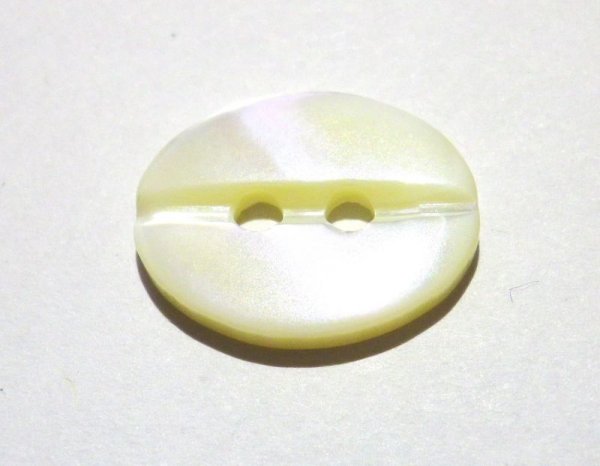 画像1: 高瀬貝  貝ボタン 楕円型　約15mm  B-1511 (1)