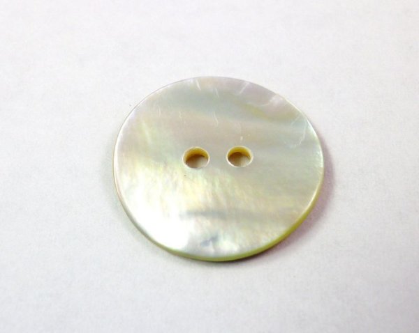 画像1: 真珠の母貝 パールシェル アコヤ貝 貝ボタン  SH-2165 (1)