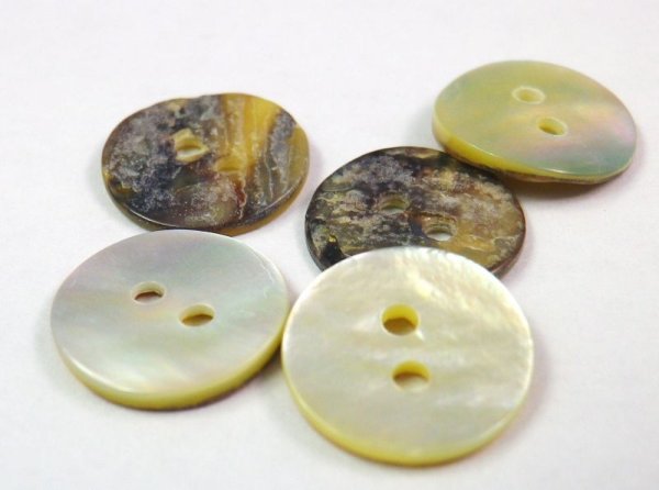 画像3: 真珠の母貝 パールシェル アコヤ貝 貝ボタン  SH-2165 (3)