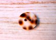 画像4: 宝貝 珍しいヒョウ柄の貝ボタン お得なセット　各サイズ有　2H SH-2168 (4)