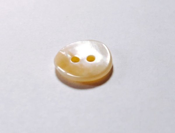 画像3: マッセル貝　貴重で珍しい貝ボタン　MS-220 貴重なベージュ系　2穴 (3)