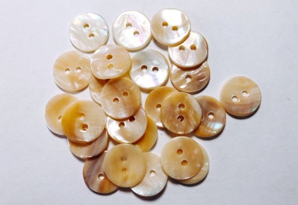 画像6: マッセル貝　貴重で珍しい貝ボタン　MS-220 貴重なベージュ系　2穴 (6)