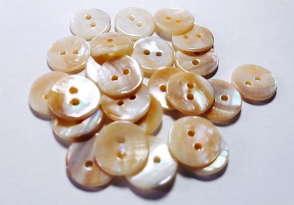 画像7: マッセル貝　貴重で珍しい貝ボタン　MS-220 貴重なベージュ系　2穴 (7)