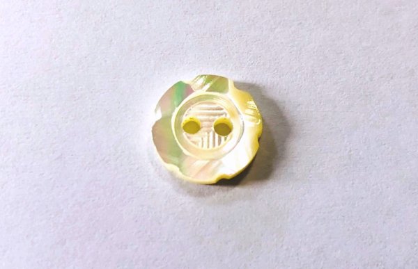 画像1: 高瀬貝 貝ボタン 可愛い6枚花びらボタン　SH-1219 (1)