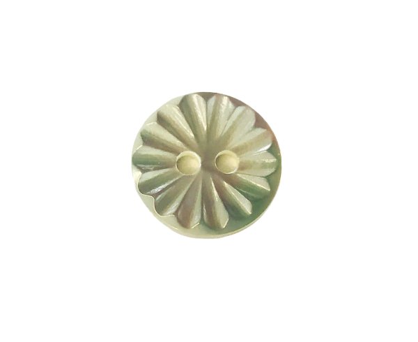 画像1: 高瀬貝 貝ボタン 菊の模様にカットした貝ボタン　SH-2224 (1)