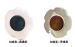 画像1: 花型のラペルピン・ブートニエール　ピンバッチ　MOP 白蝶貝 (1)