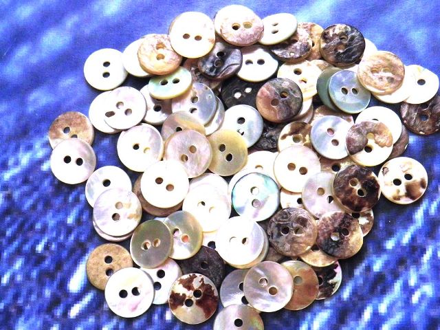 真珠の母貝 パールシェル アコヤ貝 10mm
